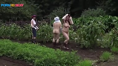 Is it Japanese agriculture of adult type?