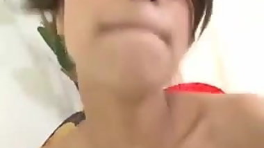 Japanese Beauty Akira Ichonose