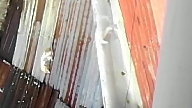 triplang