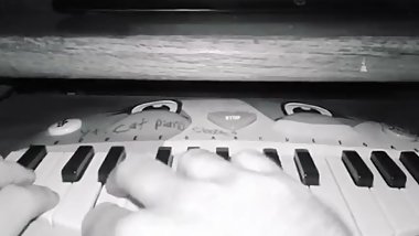 Mariya Takeuchi c«?aa??aSa Plastic Love Cat Piano Cover