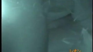 Shot sex scenes in cars