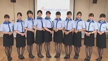 Pussy Airline